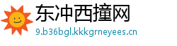 东冲西撞网